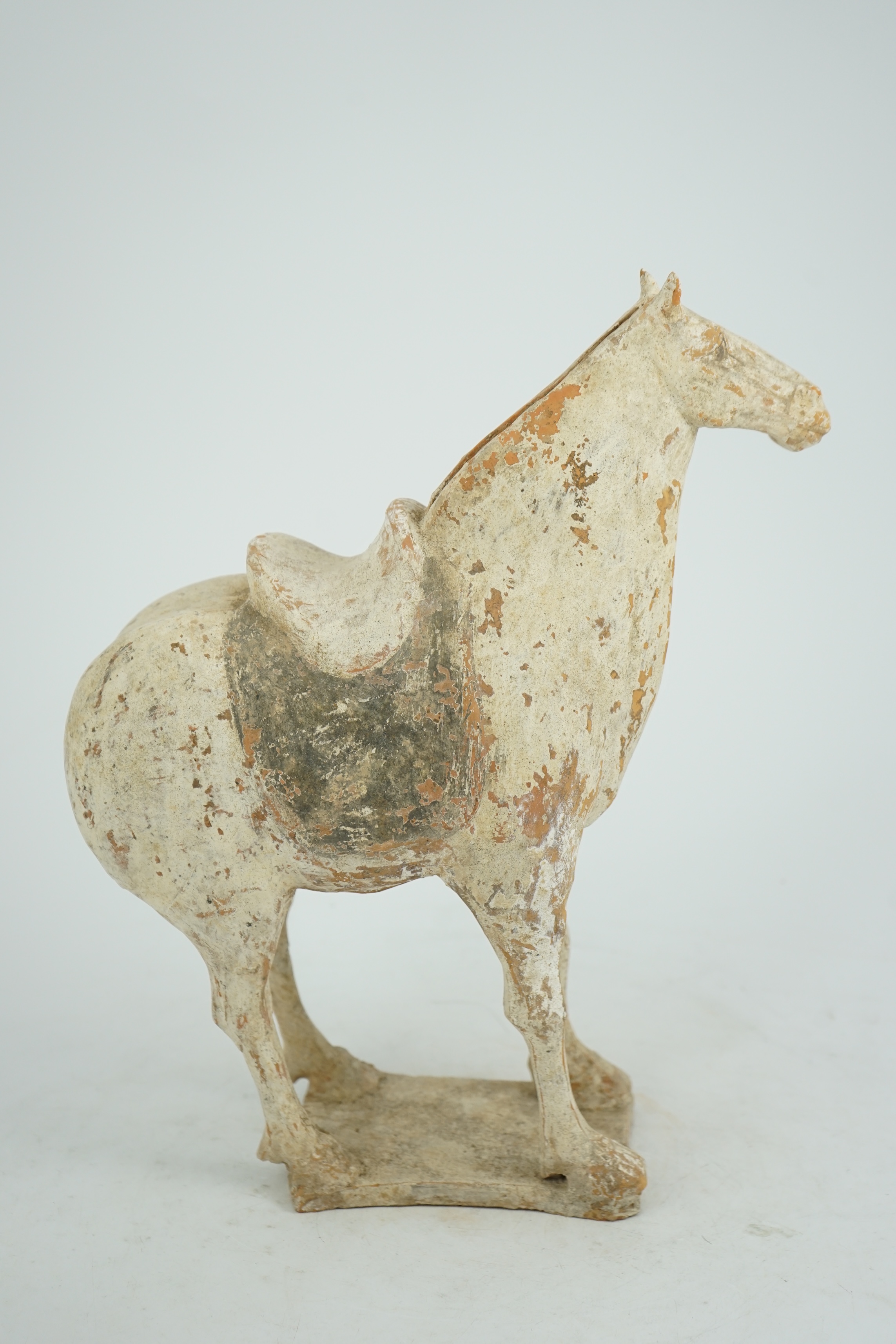 A Chinese painted pottery saddled horse, Tang Dynasty (AD 618-906)